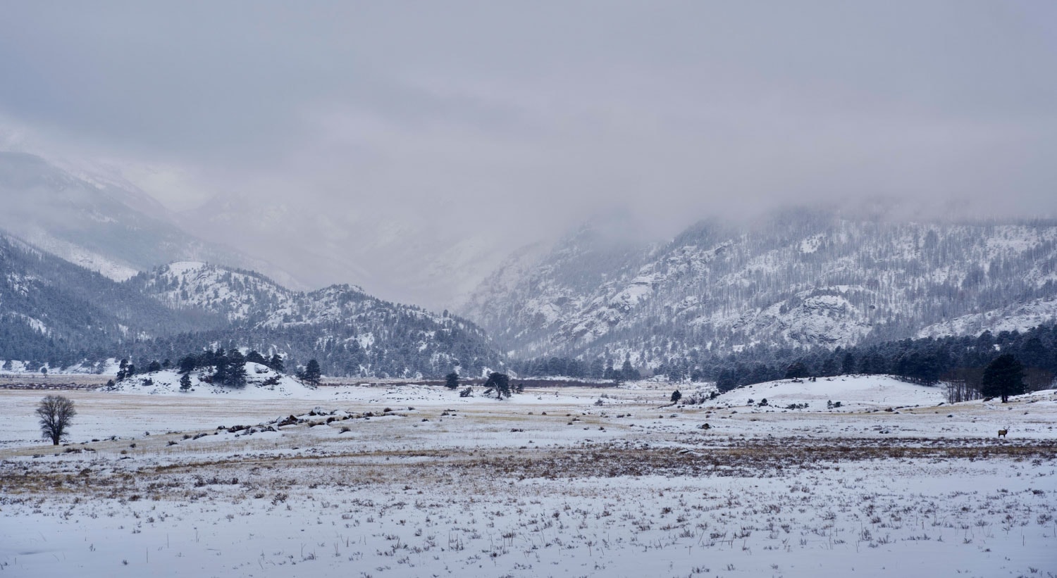 Snowy mountain peaks in the distance